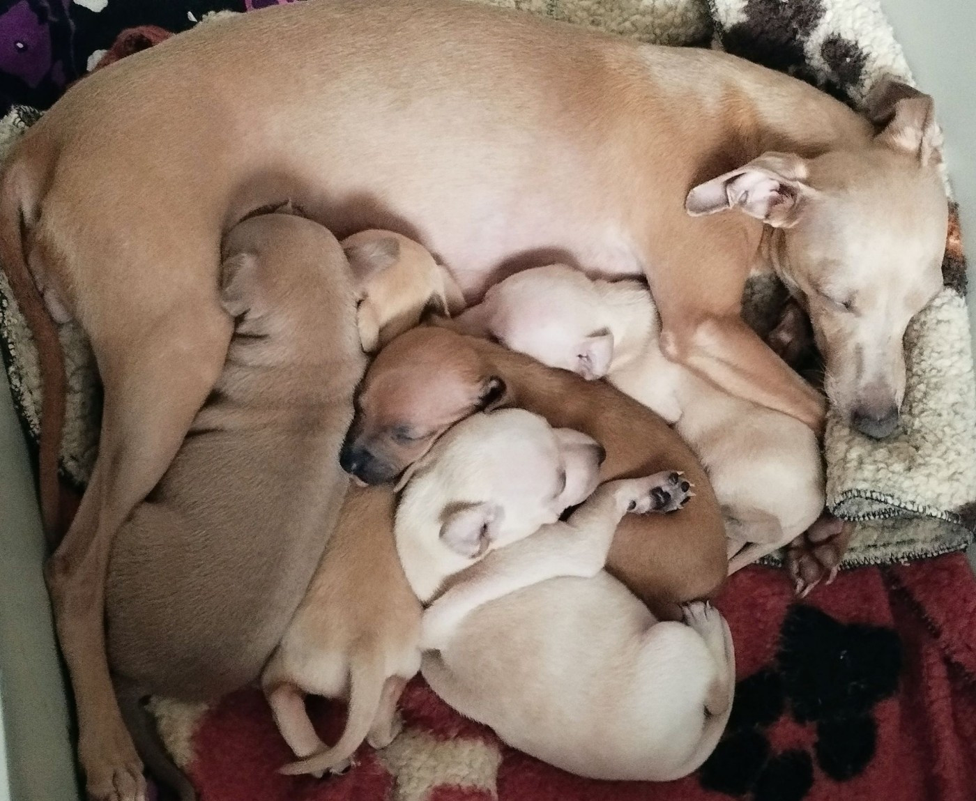 Les bébés sont arrivés !